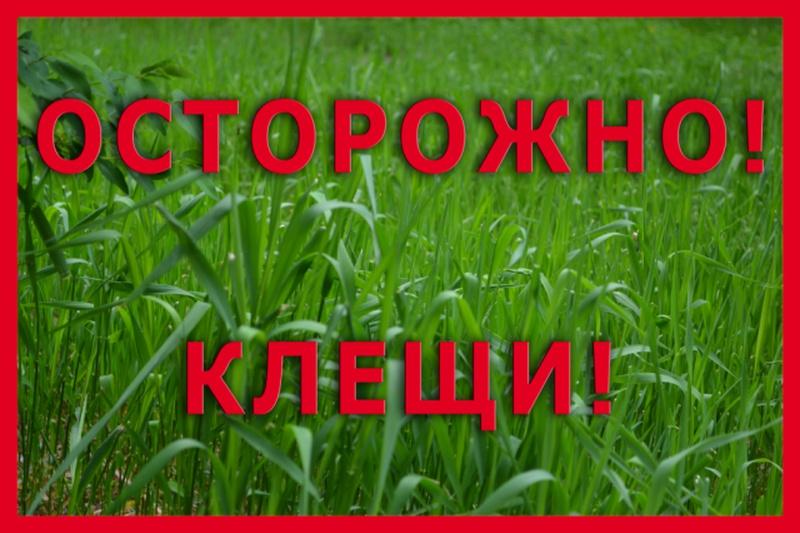 Осторожно, клещи!