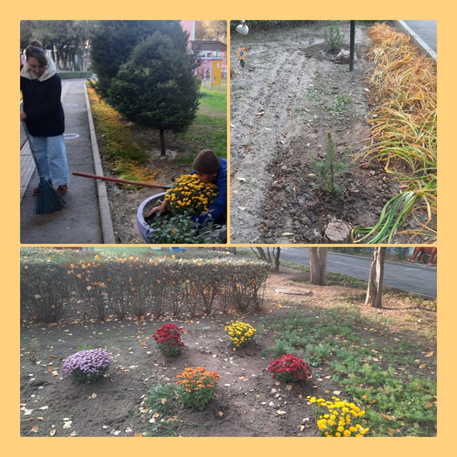 Посадка деревьев и цветов
